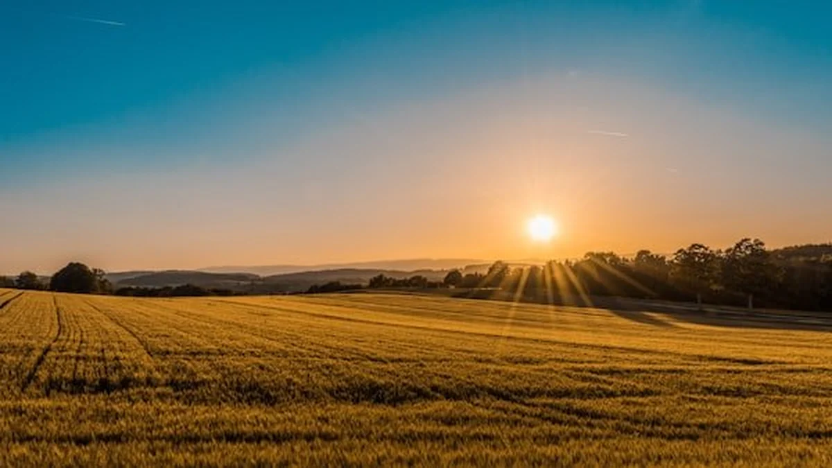 Land Encroachment, Injunction Suits & Adverse Possession: Specific Relief Act - Legal Guide India