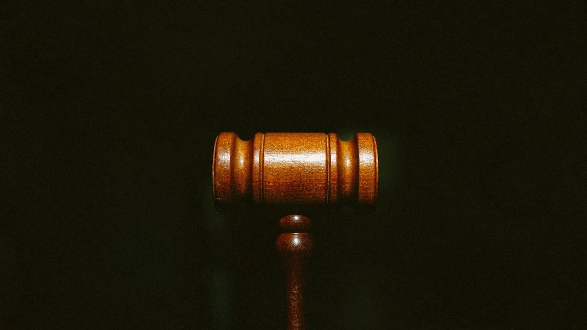 Private Criminal Complaints under Section 223 BNSS: Magistrate Cognizance & Investigation - Legal Guide India
